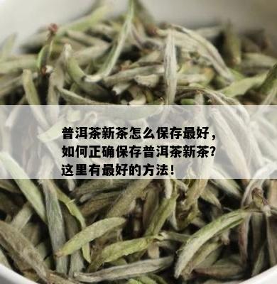 普洱茶新茶怎么保存更好，如何正确保存普洱茶新茶？这里有更好的方法！