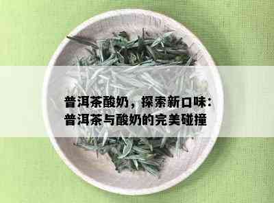 普洱茶酸奶，探索新口味：普洱茶与酸奶的完美碰撞