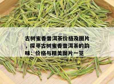 古树蜜香普洱茶价格及图片，探寻古树蜜香普洱茶的韵味：价格与精美图片一览