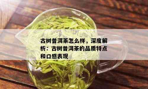 古树普洱茶怎么样，深度解析：古树普洱茶的品质特点和口感表现