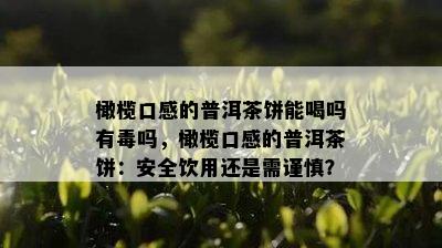 橄榄口感的普洱茶饼能喝吗有吗，橄榄口感的普洱茶饼：安全饮用还是需谨慎？