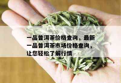 一品普洱茶价格查询，最新一品普洱茶市场价格查询，让您轻松了解行情