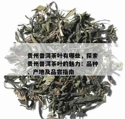 贵州普洱茶叶有哪些，探索贵州普洱茶叶的魅力：品种、产地及品尝指南