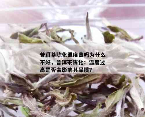 普洱茶陈化温度高吗为什么不好，普洱茶陈化：温度过高是否会影响其品质？