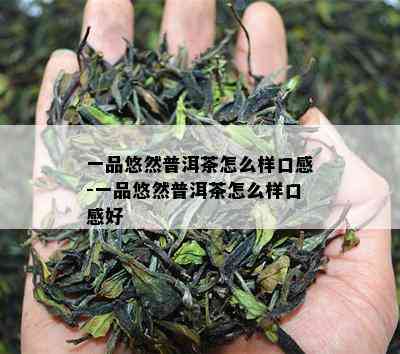 一品悠然普洱茶怎么样口感-一品悠然普洱茶怎么样口感好