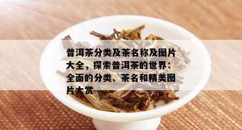 普洱茶分类及茶名称及图片大全，探索普洱茶的世界：全面的分类、茶名和精美图片大赏