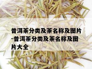 普洱茶分类及茶名称及图片-普洱茶分类及茶名称及图片大全