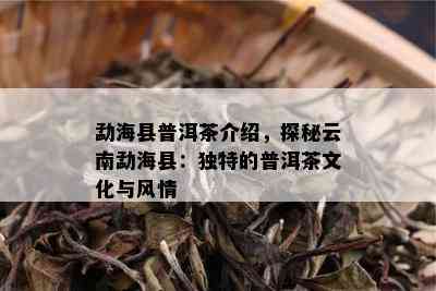 勐海县普洱茶介绍，探秘云南勐海县：独特的普洱茶文化与风情