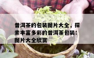 普洱茶的包装图片大全，探索丰富多彩的普洱茶包装：图片大全欣赏