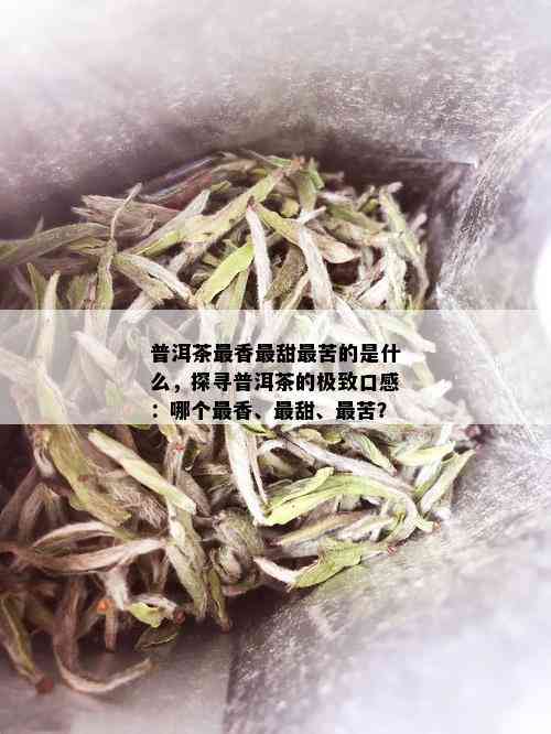 普洱茶最香最甜最苦的是什么，探寻普洱茶的极致口感：哪个最香、最甜、最苦？