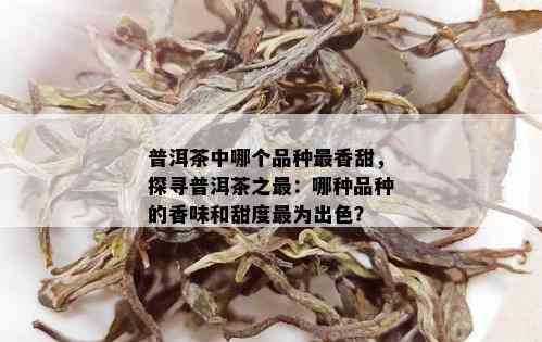 普洱茶中哪个品种最香甜，探寻普洱茶之最：哪种品种的香味和甜度最为出色？