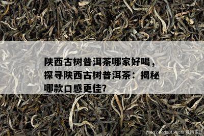 陕西古树普洱茶哪家好喝，探寻陕西古树普洱茶：揭秘哪款口感更佳？