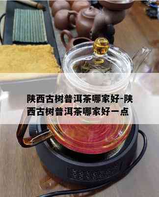 陕西古树普洱茶哪家好-陕西古树普洱茶哪家好一点