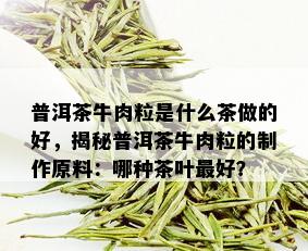 普洱茶牛肉粒是什么茶做的好，揭秘普洱茶牛肉粒的制作原料：哪种茶叶更好？