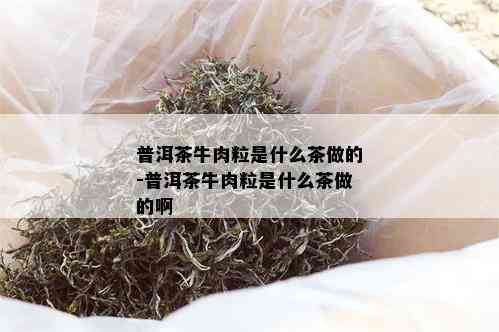 普洱茶牛肉粒是什么茶做的-普洱茶牛肉粒是什么茶做的啊