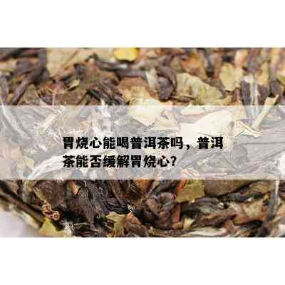 胃烧心能喝普洱茶吗，普洱茶能否缓解胃烧心？