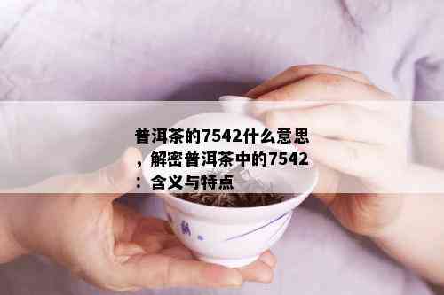 普洱茶的7542什么意思，解密普洱茶中的7542：含义与特点