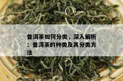 普洱茶如何分类，深入解析：普洱茶的种类及其分类方法