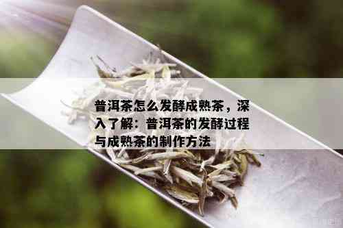 普洱茶怎么发酵成熟茶，深入了解：普洱茶的发酵过程与成熟茶的制作方法