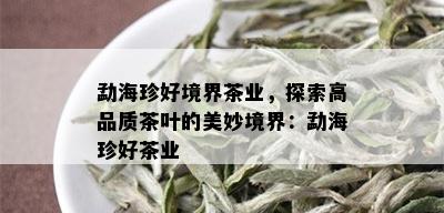 勐海珍好境界茶业，探索高品质茶叶的美妙境界：勐海珍好茶业