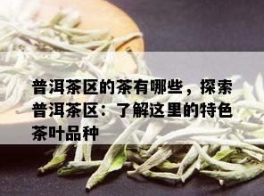 普洱茶区的茶有哪些，探索普洱茶区：了解这里的特色茶叶品种