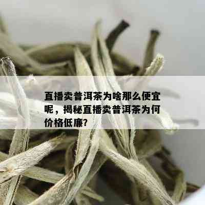 直播卖普洱茶为啥那么便宜呢，揭秘直播卖普洱茶为何价格低廉？