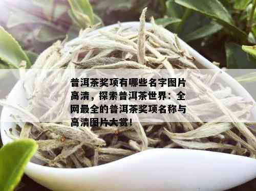 普洱茶奖项有哪些名字图片高清，探索普洱茶世界：全网最全的普洱茶奖项名称与高清图片大赏！