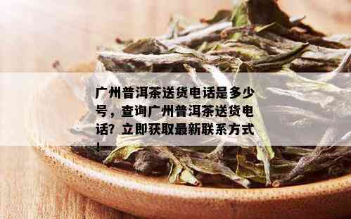 广州普洱茶送货电话是多少号，查询广州普洱茶送货电话？立即获取最新联系方式！