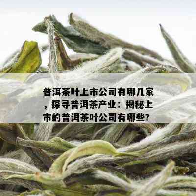 普洱茶叶上市公司有哪几家，探寻普洱茶产业：揭秘上市的普洱茶叶公司有哪些？