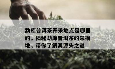 勐库普洱茶开采地点是哪里的，揭秘勐库普洱茶的采摘地，带你了解其源头之谜