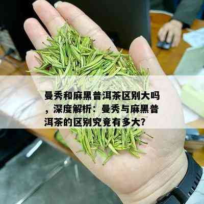 曼秀和麻黑普洱茶区别大吗，深度解析：曼秀与麻黑普洱茶的区别究竟有多大？