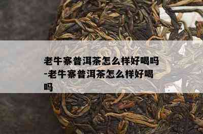 老牛寨普洱茶怎么样好喝吗-老牛寨普洱茶怎么样好喝吗