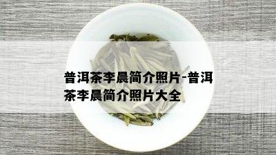 普洱茶李晨简介照片-普洱茶李晨简介照片大全