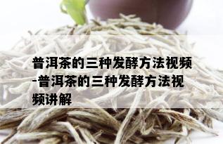 普洱茶的三种发酵方法视频-普洱茶的三种发酵方法视频讲解