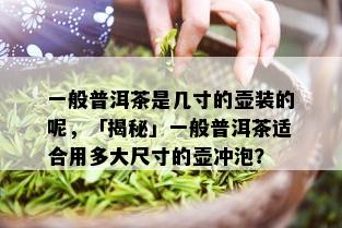 一般普洱茶是几寸的壶装的呢，「揭秘」一般普洱茶适合用多大尺寸的壶冲泡？