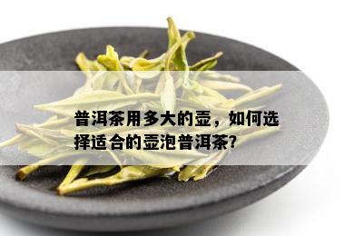 普洱茶用多大的壶，如何选择适合的壶泡普洱茶？