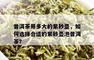 普洱茶用多大的紫砂壶，如何选择合适的紫砂壶泡普洱茶？