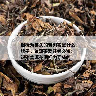 图标为芽头的普洱茶是什么牌子，普洱茶爱好者必知：识别普洱茶图标为芽头的