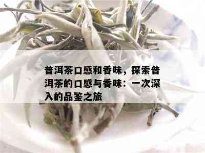 普洱茶口感和香味，探索普洱茶的口感与香味：一次深入的品鉴之旅