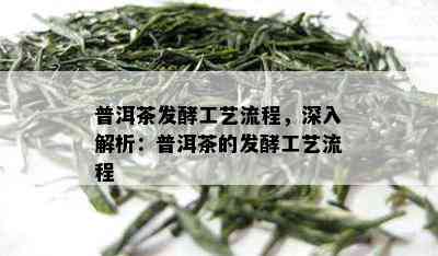 普洱茶发酵工艺流程，深入解析：普洱茶的发酵工艺流程