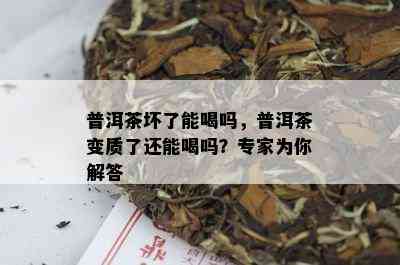 普洱茶坏了能喝吗，普洱茶变质了还能喝吗？专家为你解答