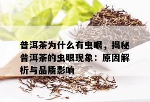 普洱茶为什么有虫眼，揭秘普洱茶的虫眼现象：原因解析与品质影响