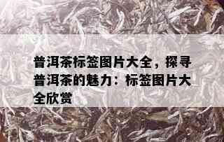 普洱茶标签图片大全，探寻普洱茶的魅力：标签图片大全欣赏