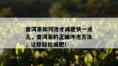 普洱茶如何泡才减肥快一点儿，普洱茶的正确冲泡方法，让你轻松减肥！