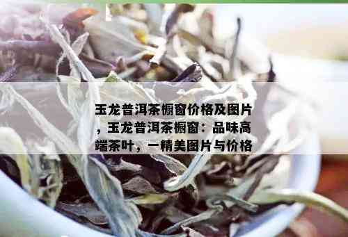 玉龙普洱茶橱窗价格及图片，玉龙普洱茶橱窗：品味高端茶叶，一精美图片与价格