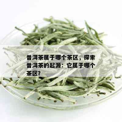 普洱茶属于哪个茶区，探索普洱茶的起源：它属于哪个茶区？