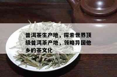 普洱茶生产地，探索世界顶级普洱茶产地，领略异国他乡的茶文化