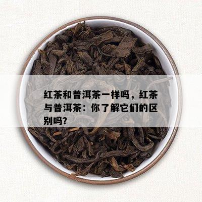 红茶和普洱茶一样吗，红茶与普洱茶：你了解它们的区别吗？