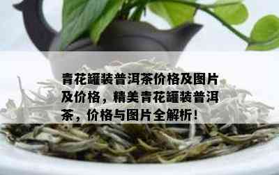 青花罐装普洱茶价格及图片及价格，精美青花罐装普洱茶，价格与图片全解析！