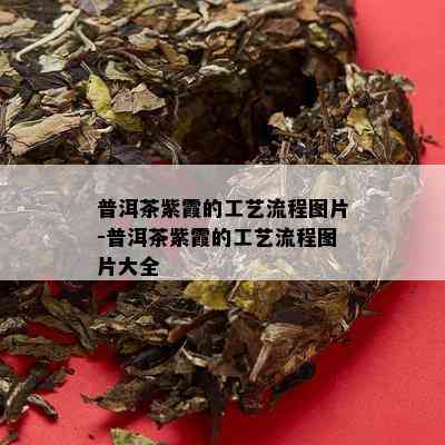 普洱茶紫霞的工艺流程图片-普洱茶紫霞的工艺流程图片大全